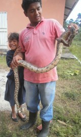 ??????????????????????