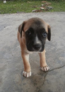 ??????????????????????