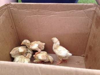 sept foto updates 22