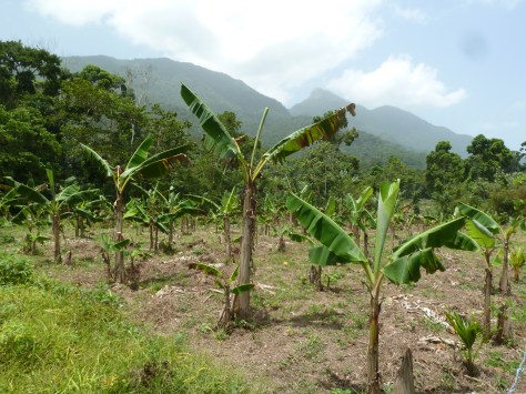 ministry updates nov 2014 6